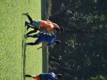 Tn dsc 0416